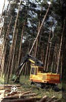 sd11.jpg Courtesy of the Forestry Commission > Simply click to enlarge... then use the [Back] button to return