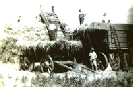 Charlie Basset and Cecil Gooch harvesting in the early 1930s - Michael Gooch