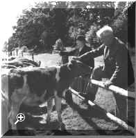 Rupert and Gwendolen, 2nd Earl and Countess inspecting calves at Redneck Farm
