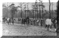 Moulton Point to Point - Folly Hill about 1955  > Simply click to enlarge... then use the [Back] button to return