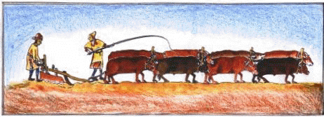 Representation of oxen team in Domesday times by local artist Veronica Moran