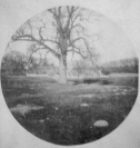 R01_SCN_0052_WEB