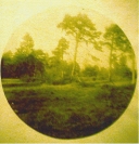 R01_SCN_0057_WEB