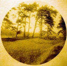 R01_SCN_0066_WEB