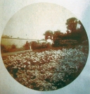 R01_SCN_0068_WEB