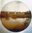 R01_SCN_0069_WEB