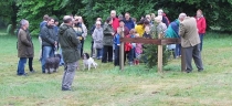 Diamond Jubilee