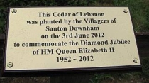 Plaque