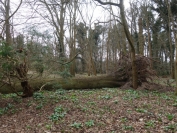 Storm_Doris_Feb_2017_DSC01835