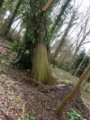 Storm_Doris_Feb_2017_DSC01839