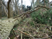 Storm_Doris_Feb_2017_DSC01857